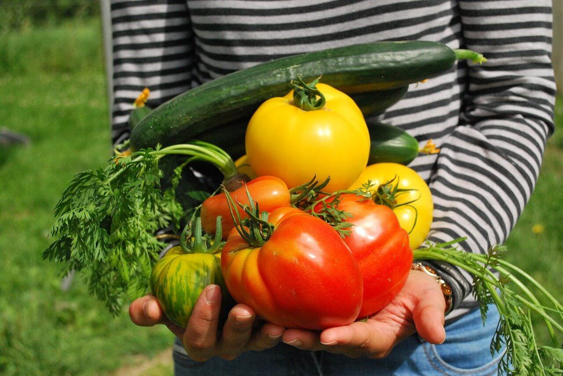 Top 6 High Nutritious Vegetables